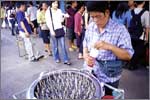 Chatuchak weekend market